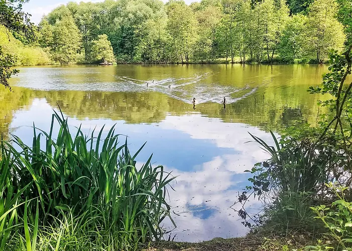 Am Sternberg 224-226 By Interhome Frankenau